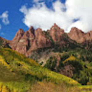 Meet your Posher, Nina